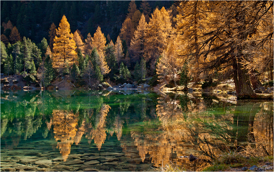 Goldene Spiegelungen