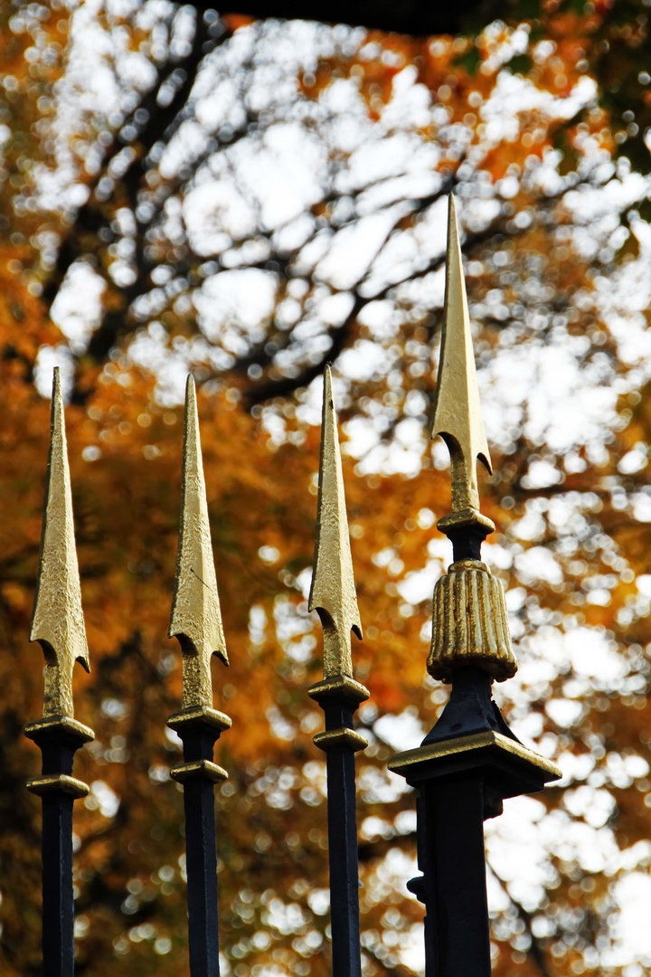 goldene Spitzen im goldenen Oktober