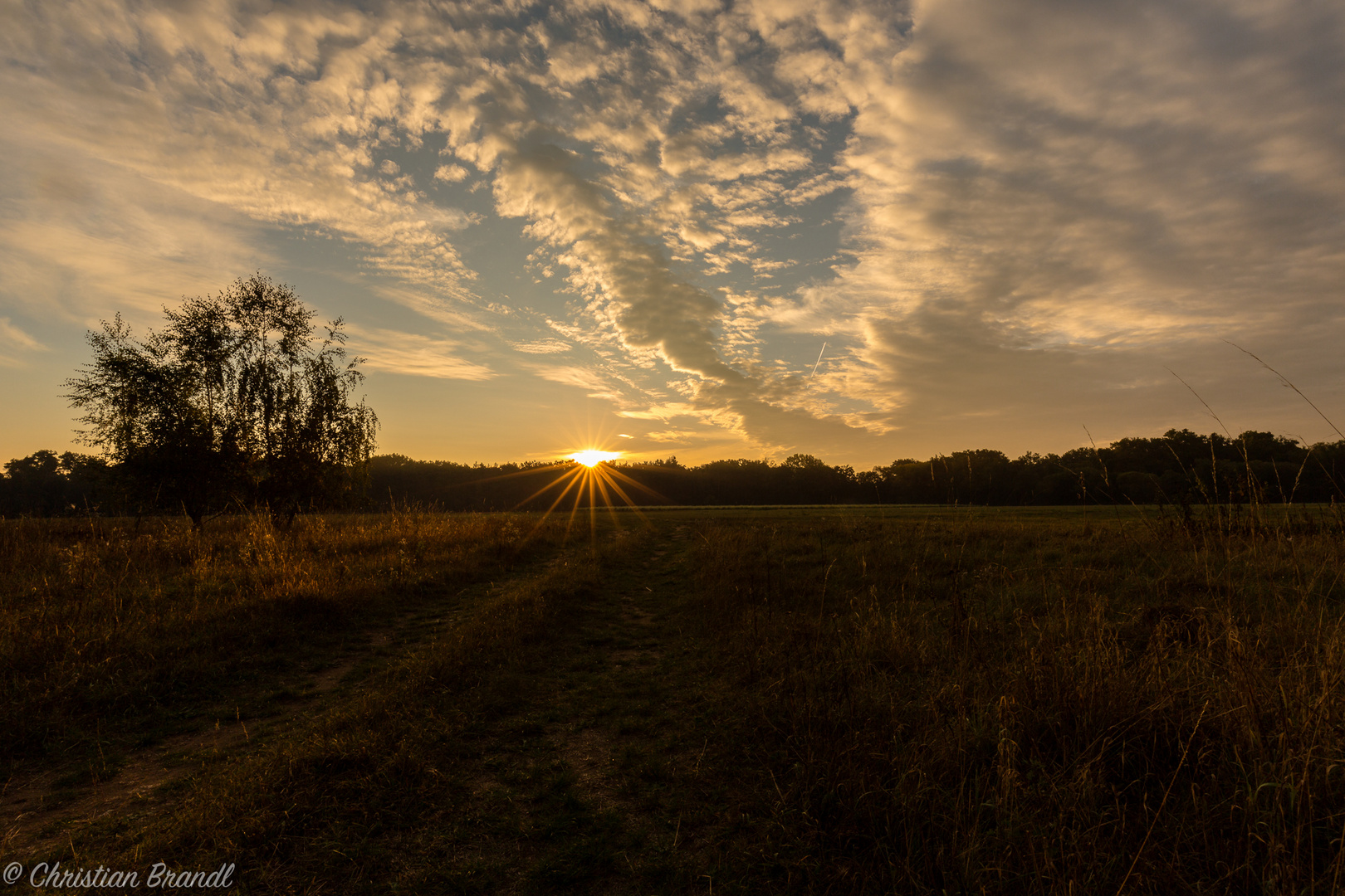 Goldene Stimmung