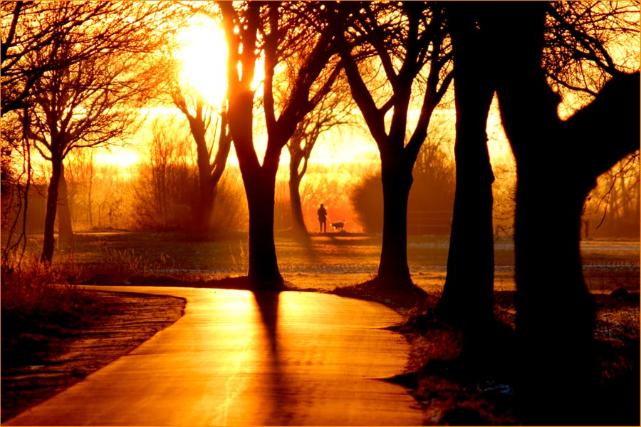 Goldene Straße...