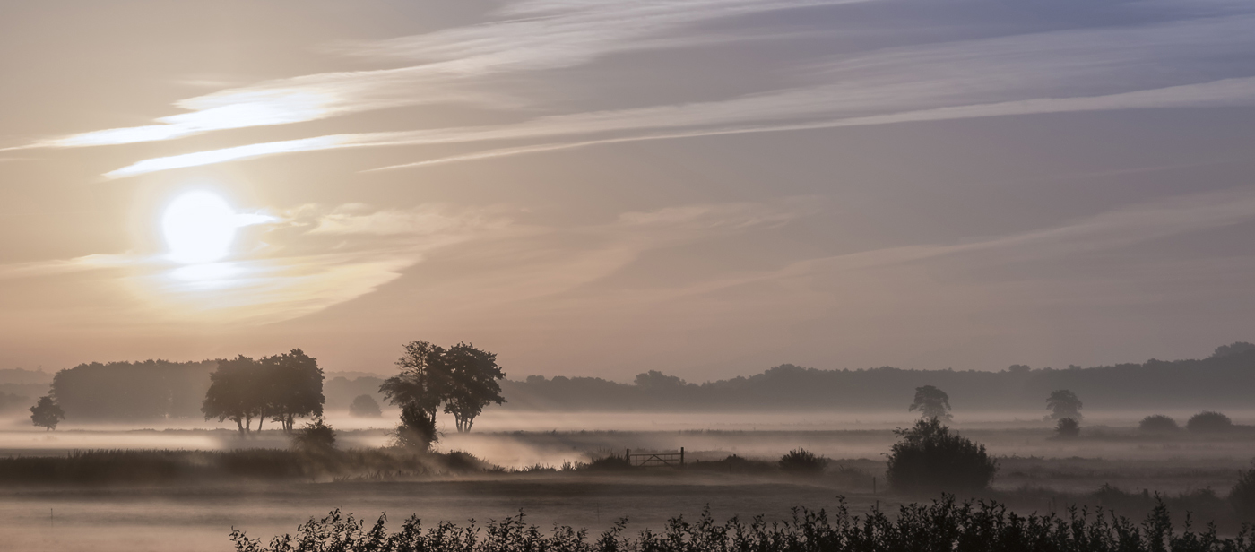 goldene Stunde Foto & Bild | sonnenaufgang, wiese, natur Bilder auf fotocommunity