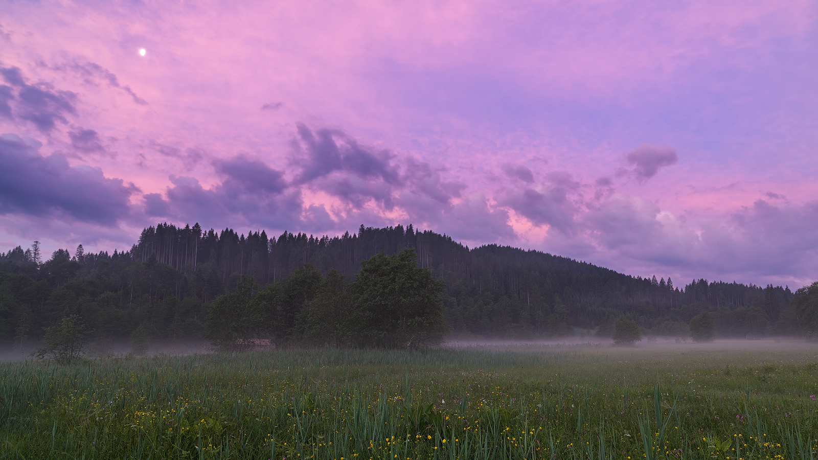 Goldene Stunde am Barmsee