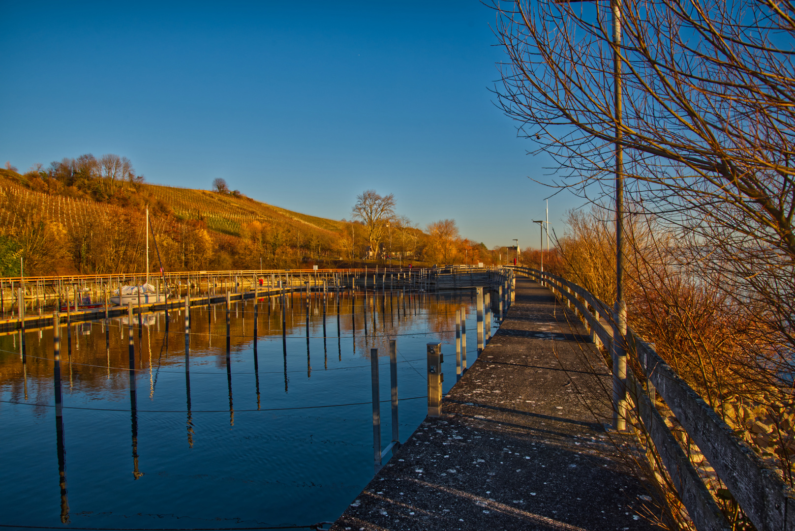 Goldene Stunde am Bodensee