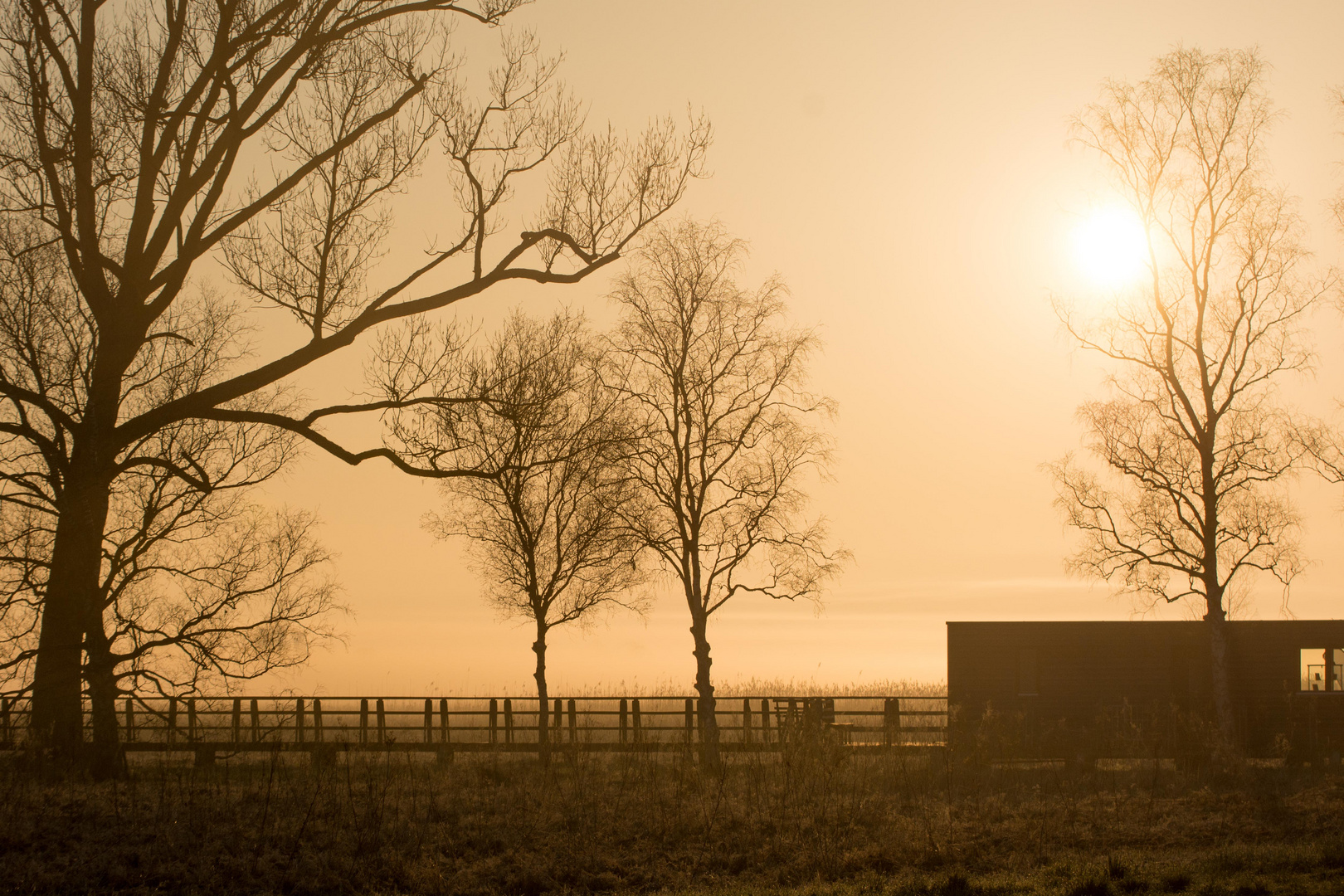 Goldene Stunde am Federsee