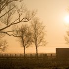 Goldene Stunde am Federsee