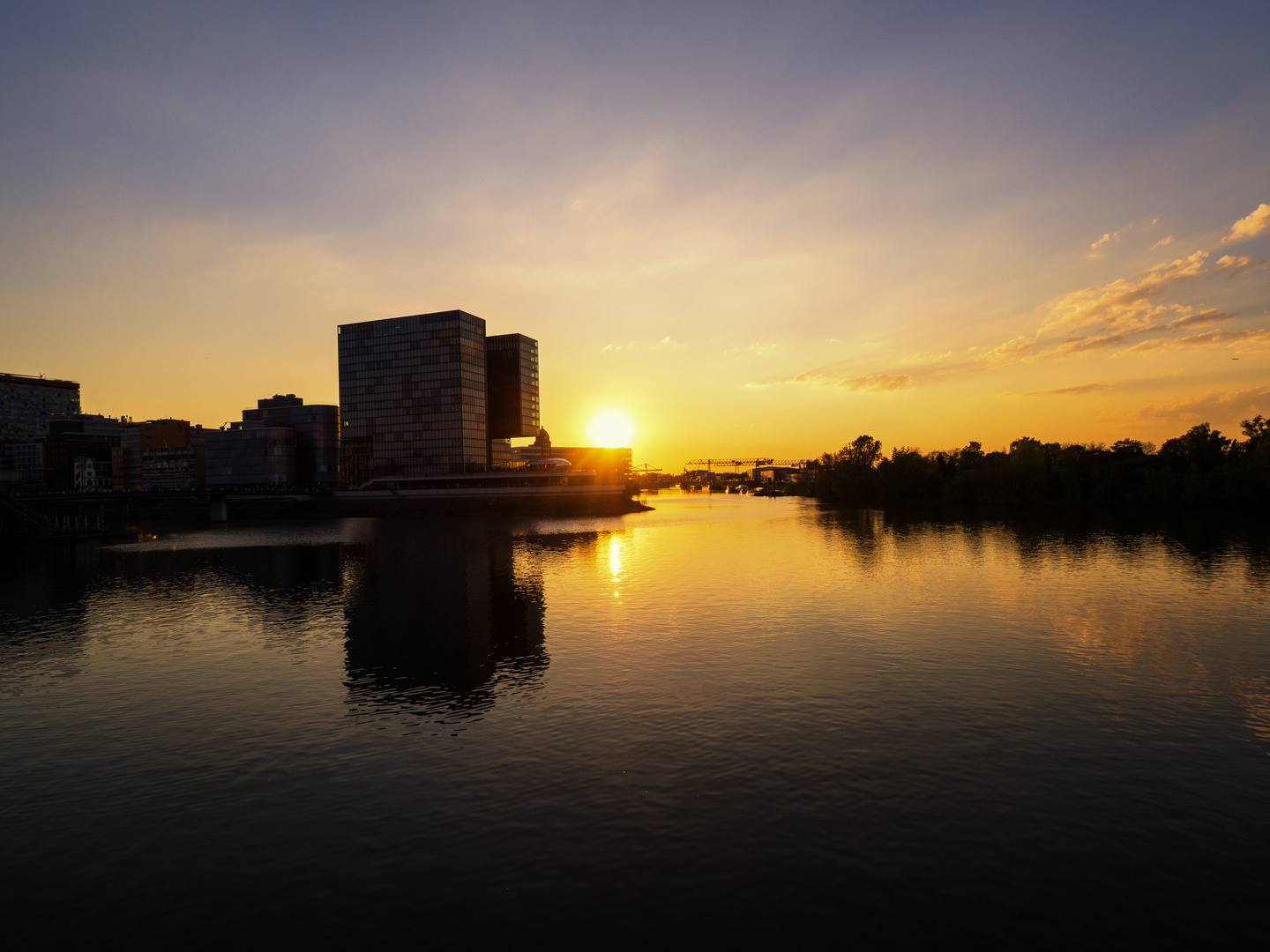 goldene Stunde am Medienhafen