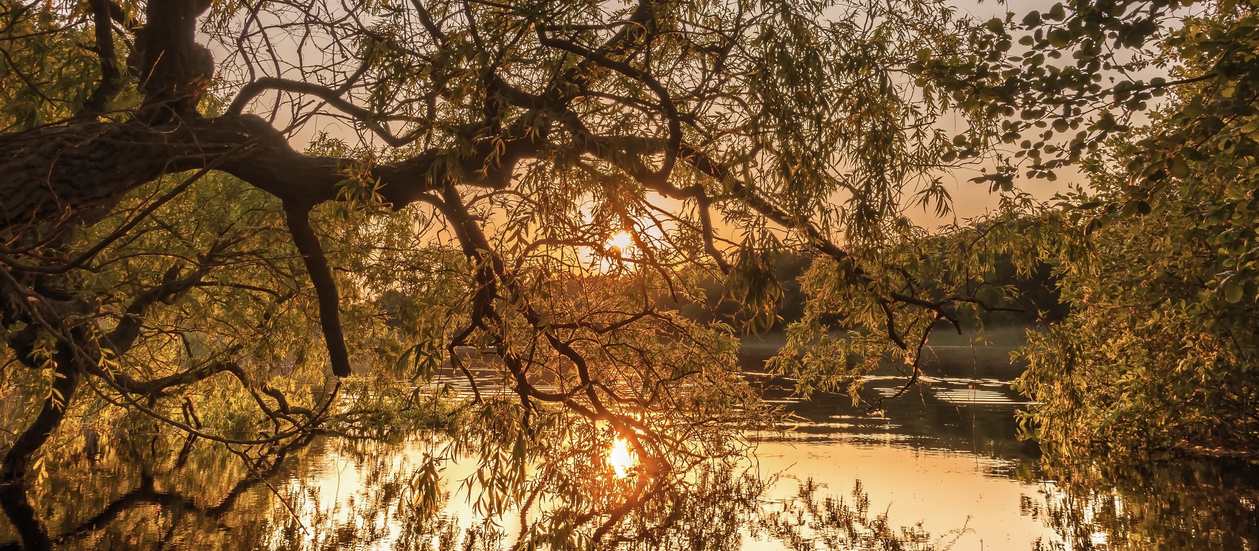 Goldene Stunde am Prerower Strom