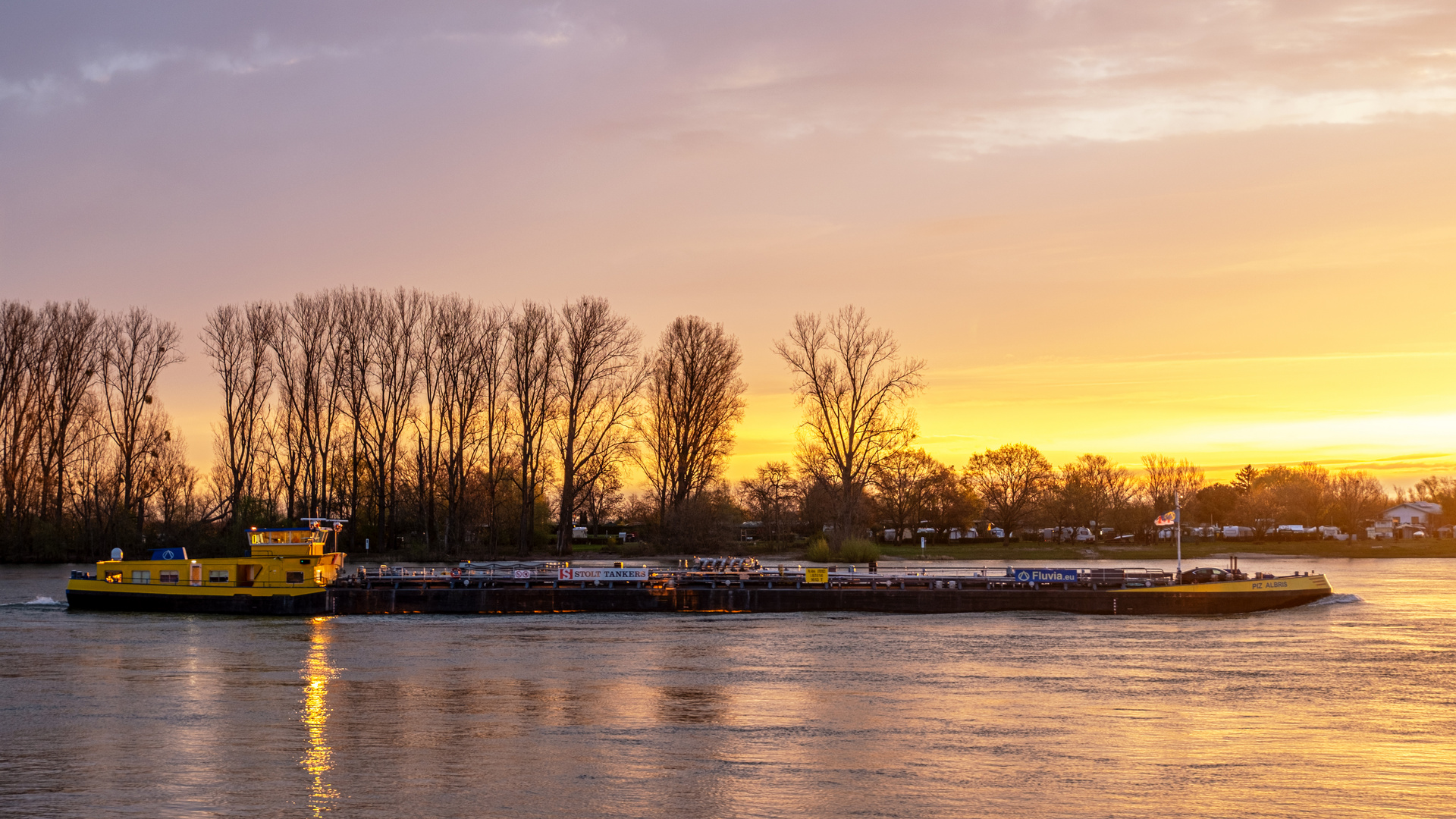 Goldene Stunde  am Rhein