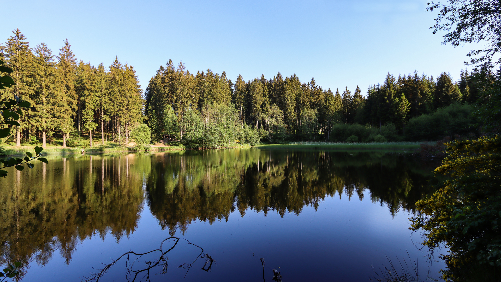 goldene Stunde am Stierbergteich