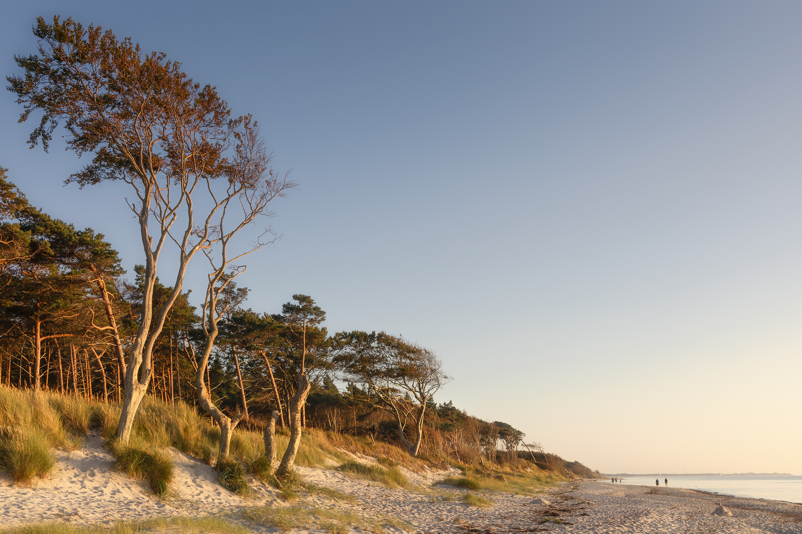 goldene Stunde am Weststrand 