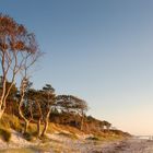 goldene Stunde am Weststrand 