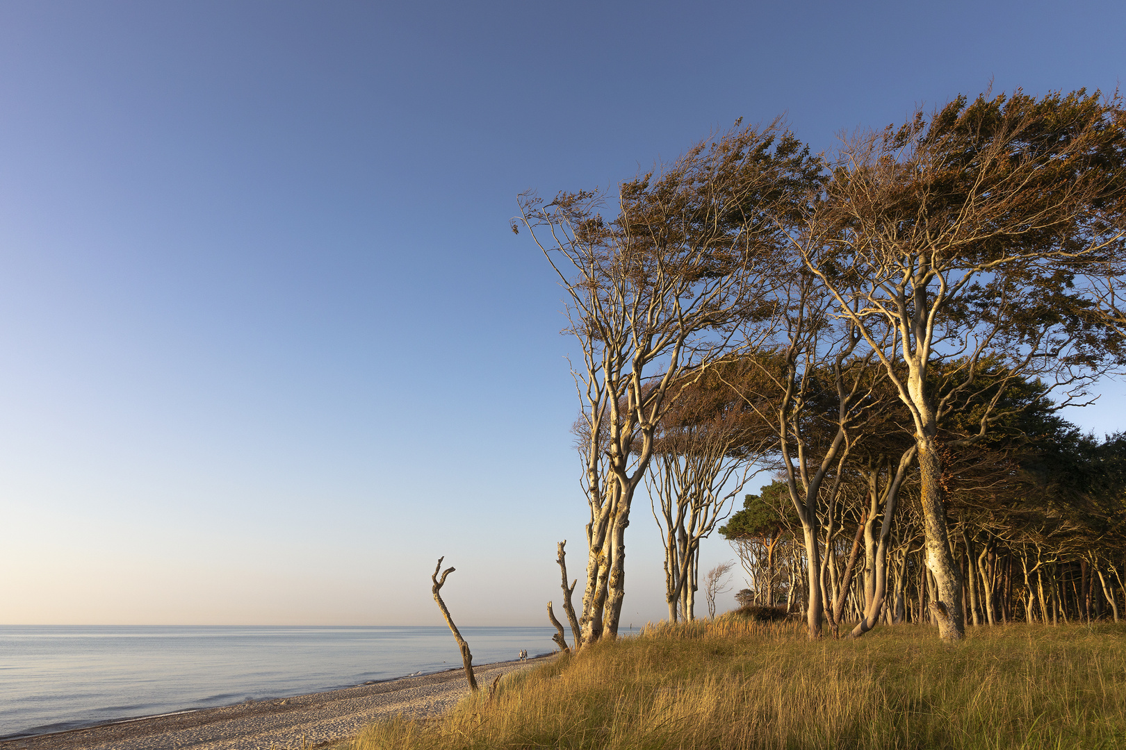 goldene Stunde  am Weststrand