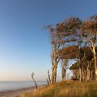 goldene Stunde  am Weststrand