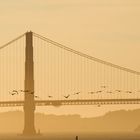 Goldene Stunde an der Golden Gate Bridge 