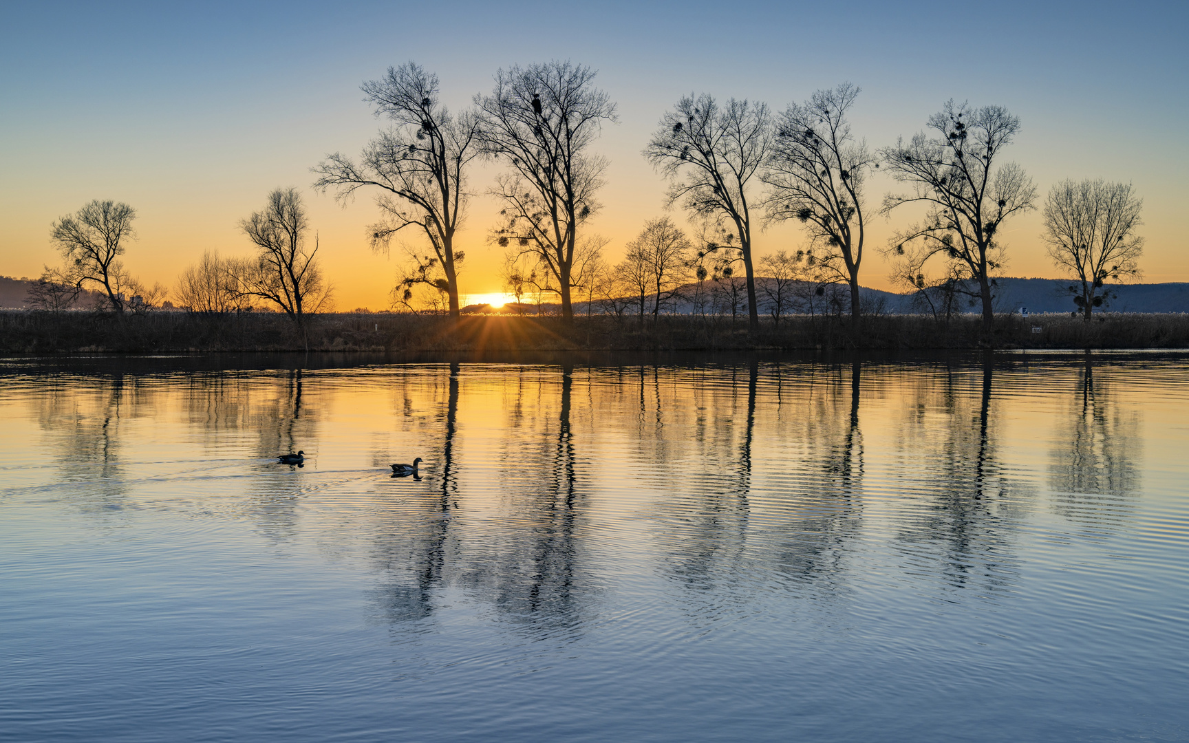 *Goldene Stunde an der Mosel*