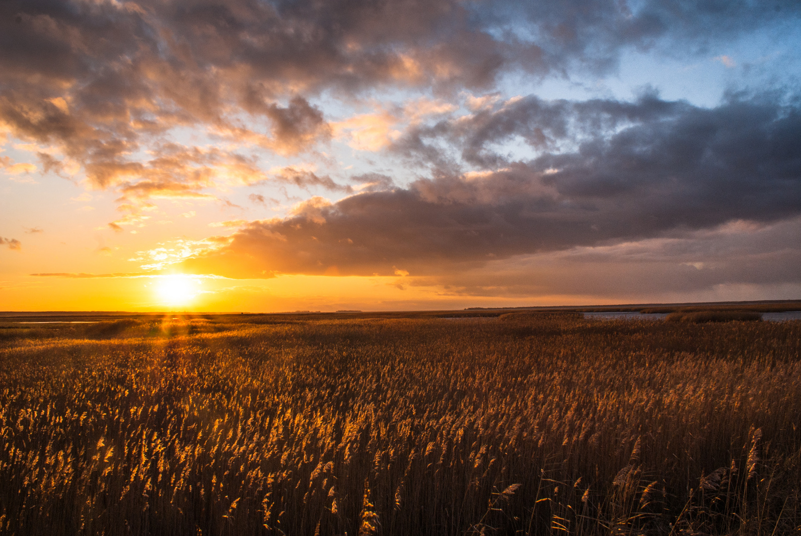 goldene Stunde Foto & Bild | landschaft, naturlandschaft bei nacht, deutschland div. Bilder auf ...