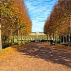 Goldene Stunde im Schlosspark Sanssouci