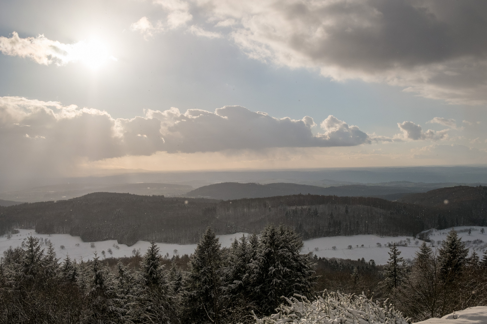 Goldene Stunde im Schwarzwald