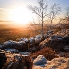 Goldene Stunde in der Sächsischen Schweiz. 