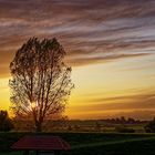 goldene Stunde über Ostfriesland