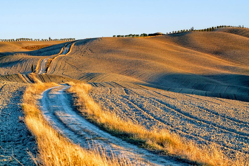 Goldene Toscana