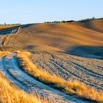 Goldene Toscana