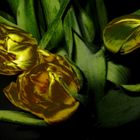Goldene Tulpen