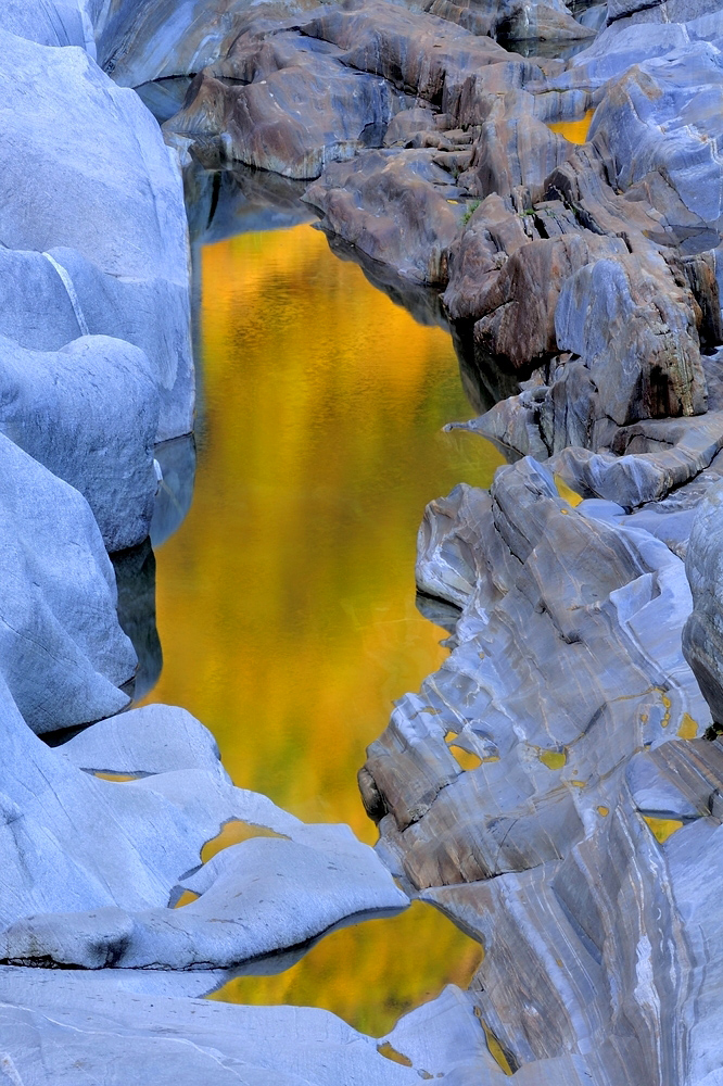 - Goldene Verzasca -