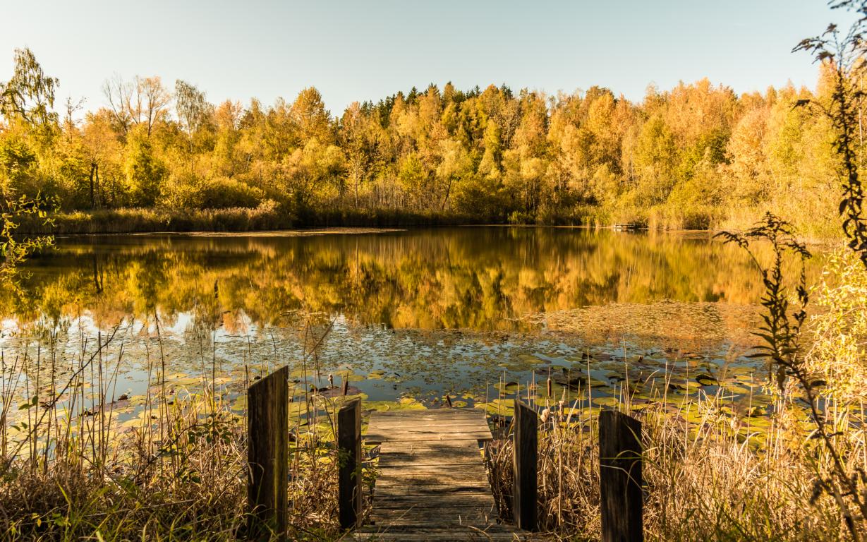 goldene Weiher