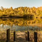 goldene Weiher