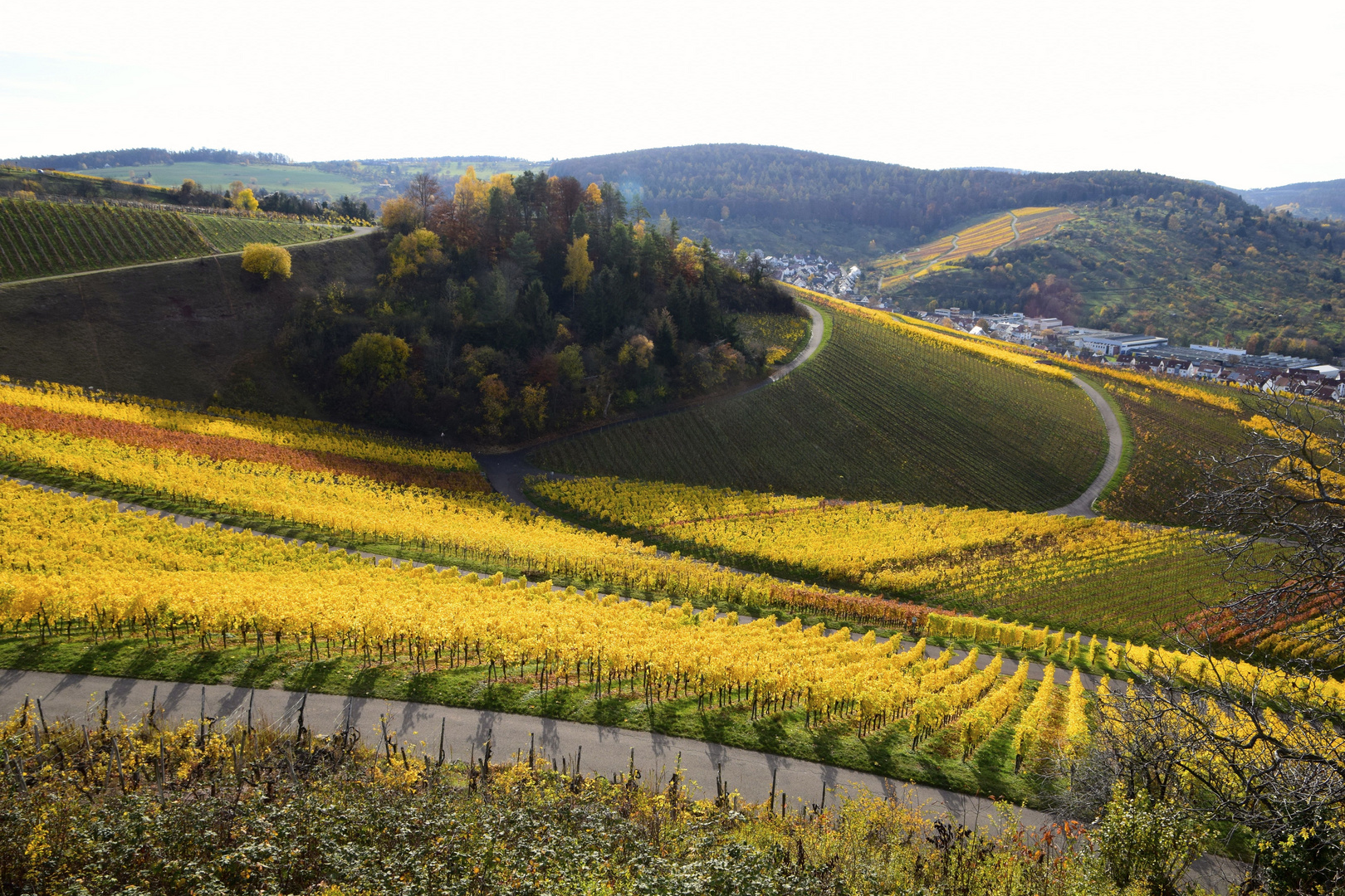 Goldene Weinberge