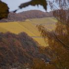 goldene Weinberge