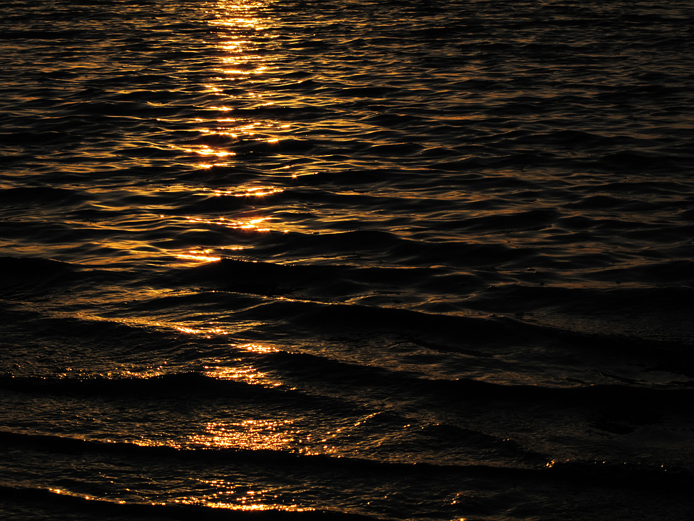 Goldene Wogen vor Langeoog