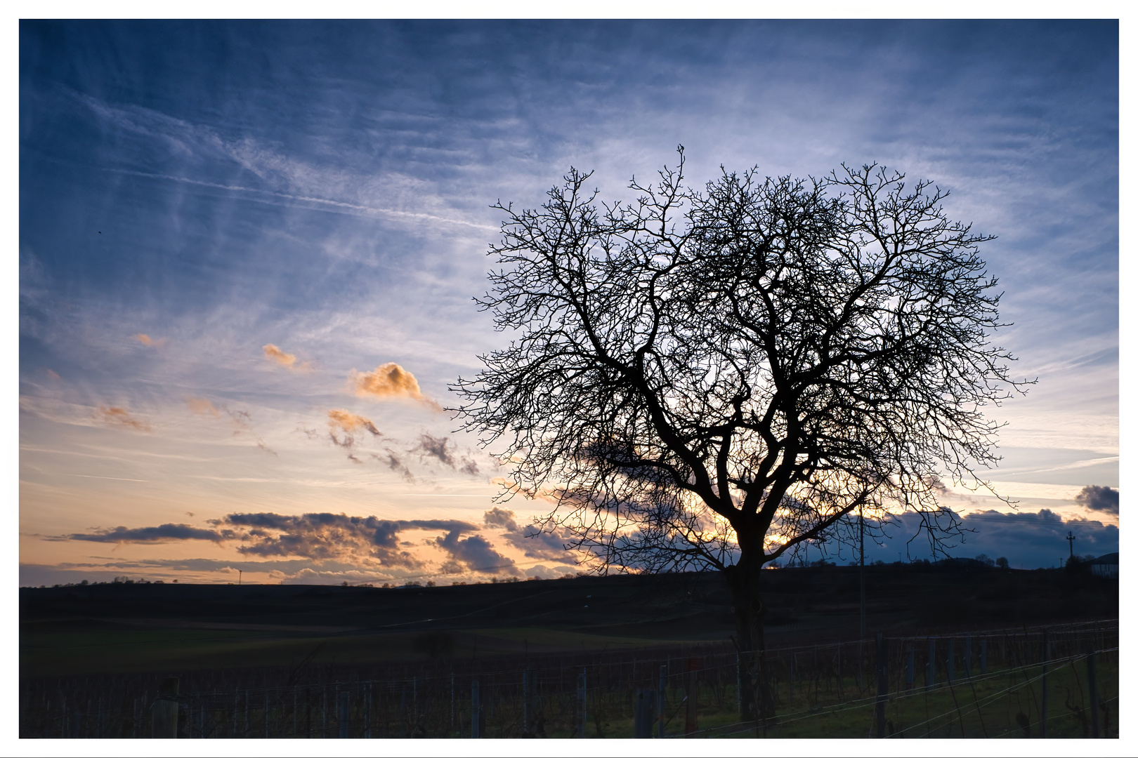 Goldene Wolken am Abend...