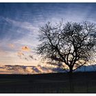 Goldene Wolken am Abend...