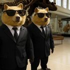 Goldene Wombats in Black