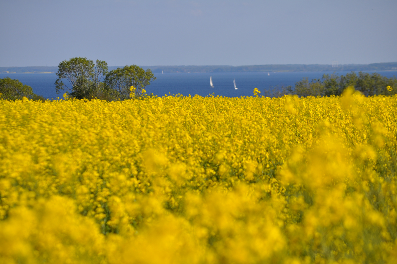 Goldene Zeit