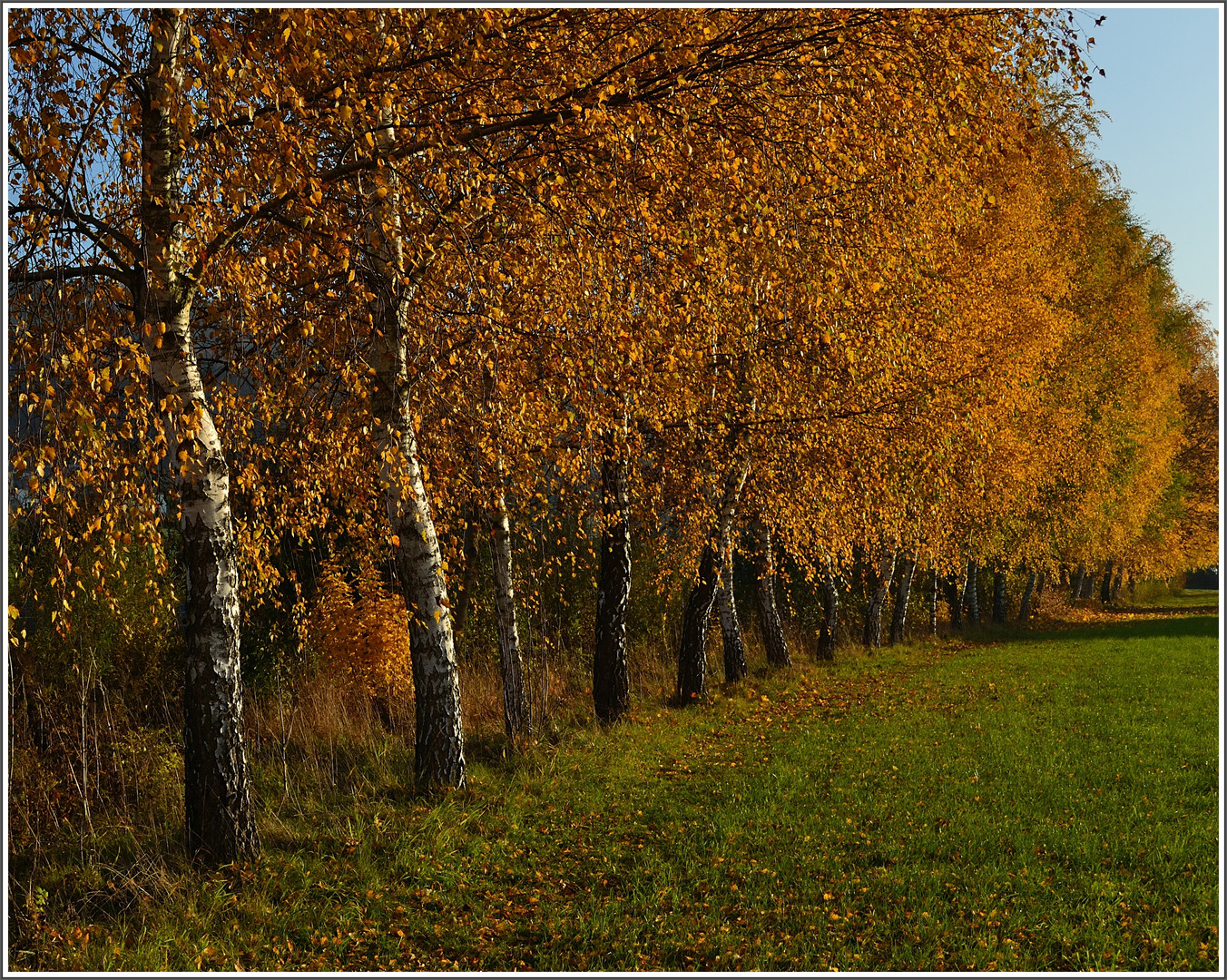 goldene Zeit