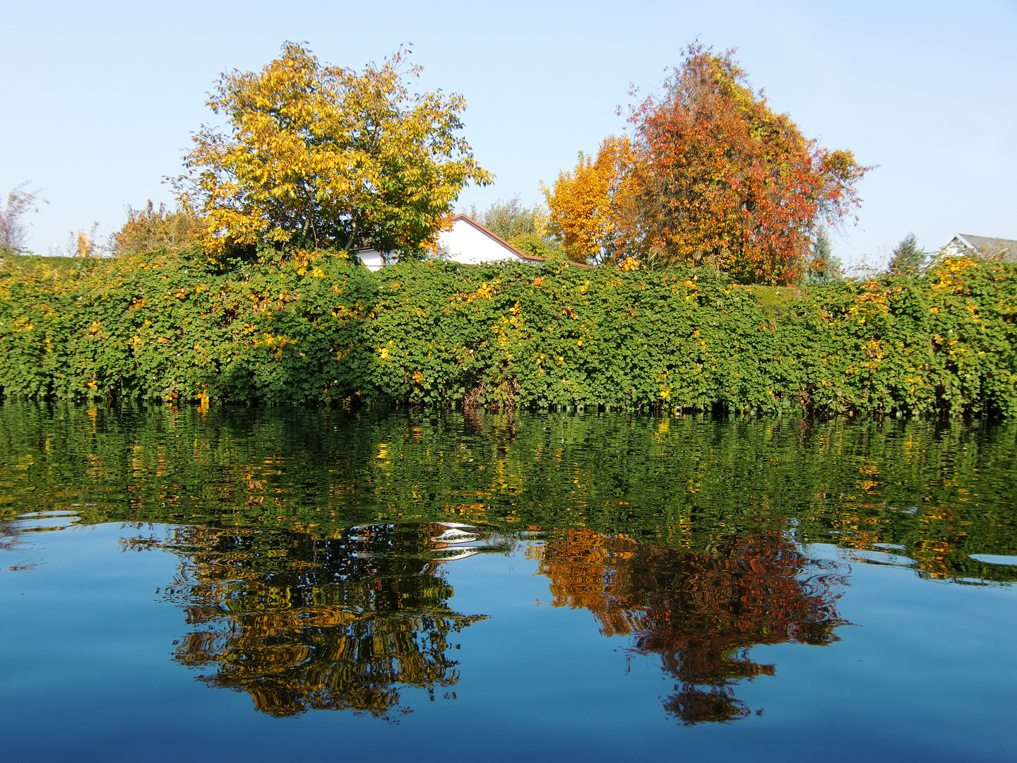 Goldene Zeiten - Goldener Herbst