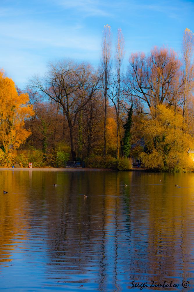 Goldenen Herbst in Englischgarten -001