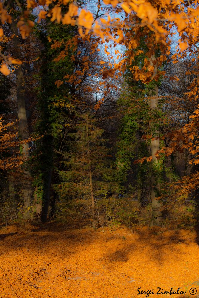 Goldenen Herbst in Englischgarten -002