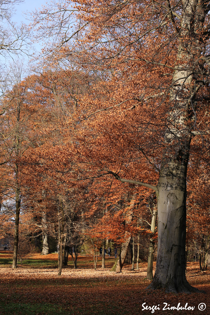 Goldenen Herbst in Englischgarten.