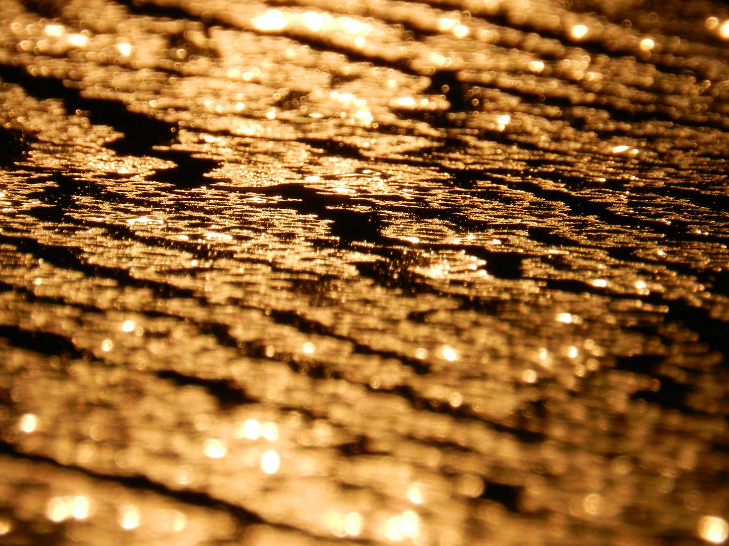 goldenens Gegenlicht