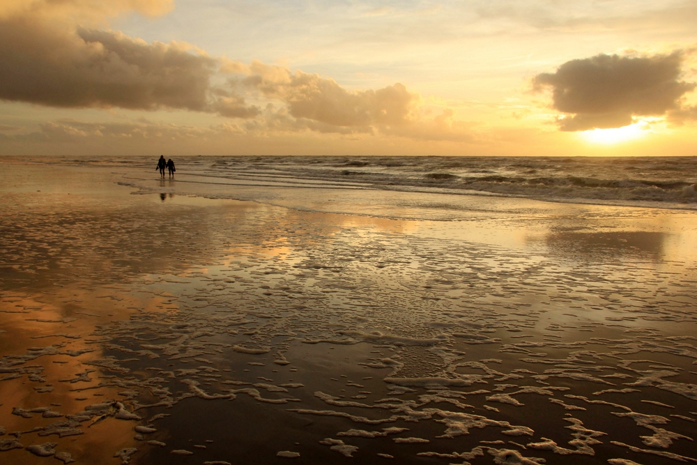 Goldener Abend am Sandstrand (War im Monatswettbewerb)