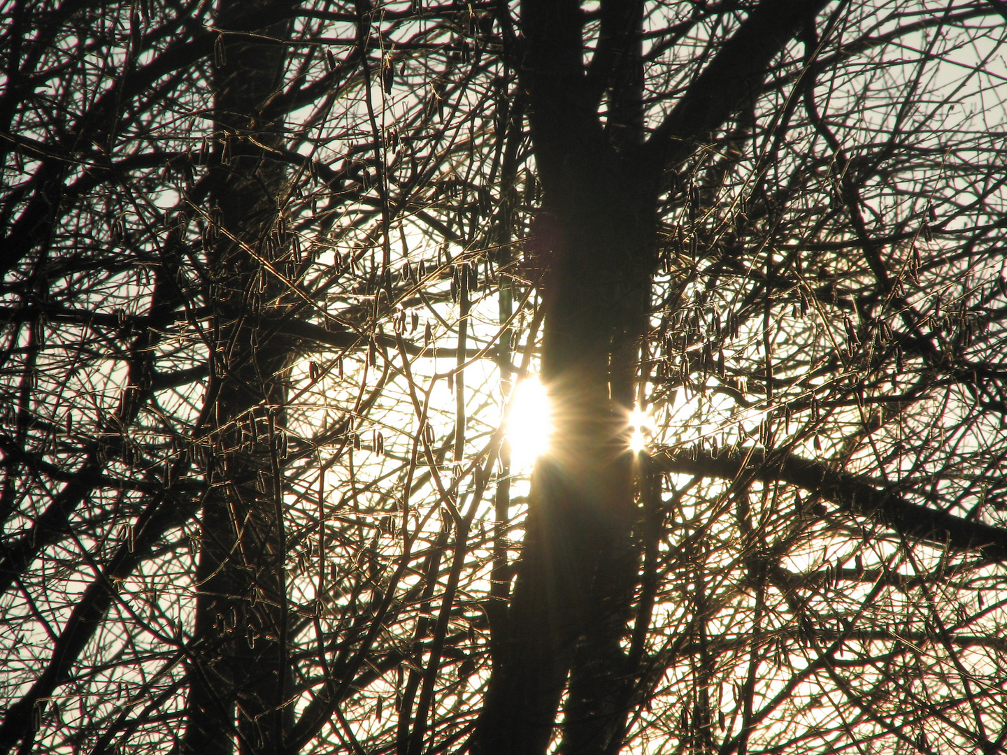 Goldener Abendgruß