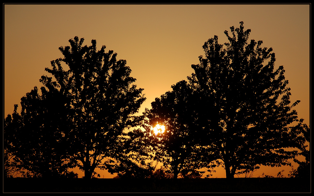 goldener Abendhimmel