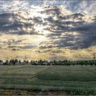 Goldener Abendhimmel auf dem Feld