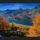 Goldener Abschied vom Engadin