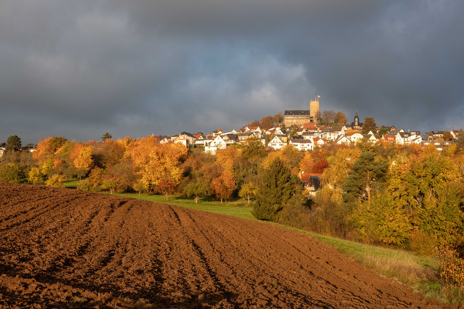 Goldener Acker