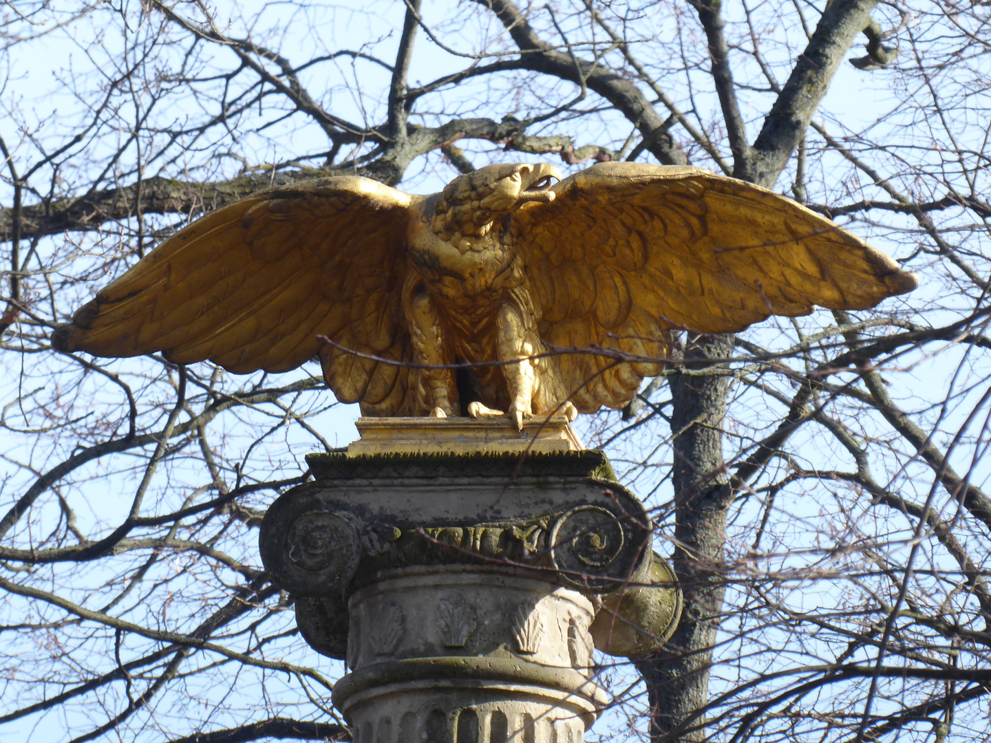 goldener Adler oder Pleitegeier?